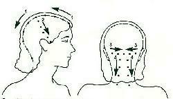 Accupressure Head Massage