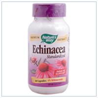 ECHINACEA STANDARDIZED EXTRACT 60 CAPS