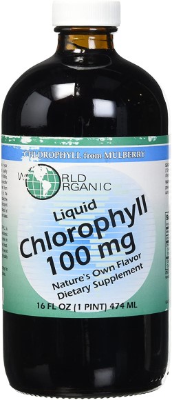 LIQUID CHLOROPHYLL FROM MULBERRY 100MG 16 OUNCE