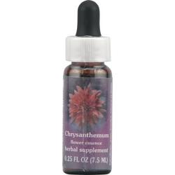 Chrysanthemum Dropper 0.25 盎司 