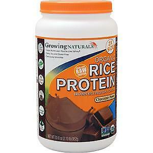 Rice Protein Powder Chocolate Organic 2 lb